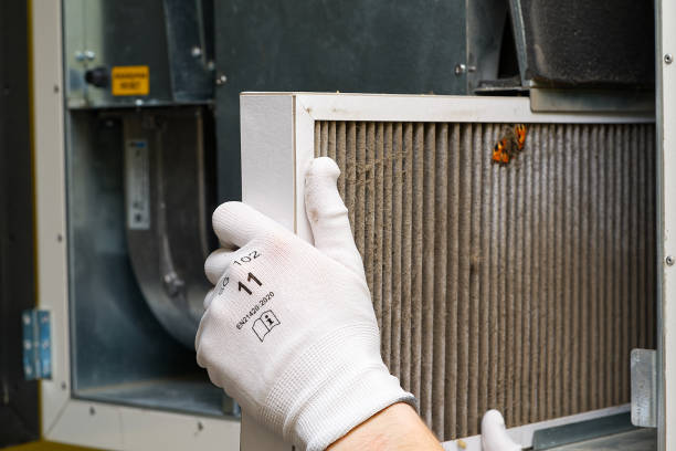 Best General Air Duct Cleaning  in Kodi, AK
