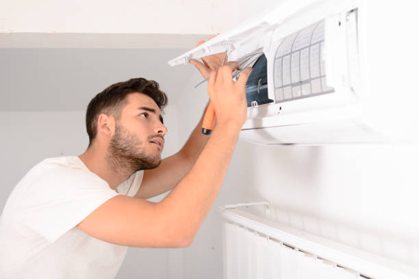 Air Duct Mold Removal in Kodiak, AK